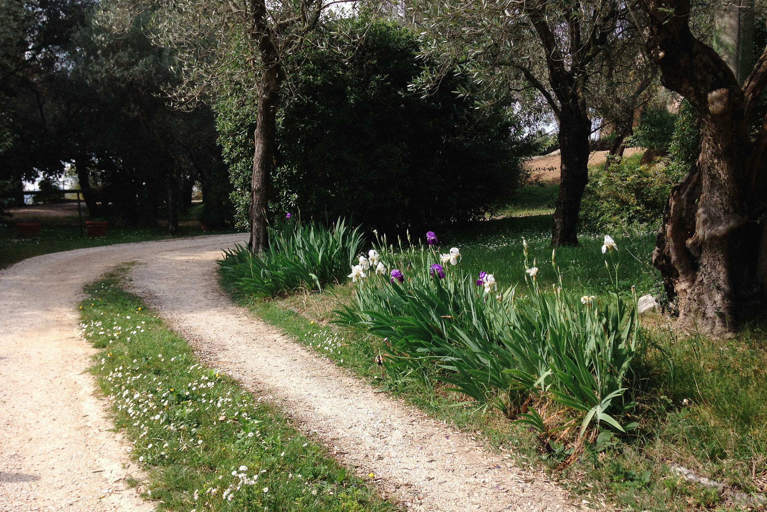 Villa Limonaia Garda Lake Guesthouse Garden